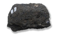 M 03117
<br/>
<br/>
<em></em>